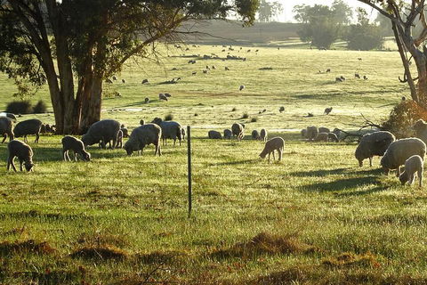 The Big Wave Rock (Private) Day Tour - Accommodation in Brisbane 1