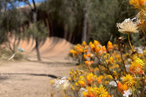 The Big Wave Rock (Private) Day Tour - Accommodation in Brisbane 3