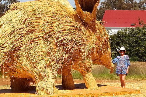 The Big Wave Rock (Private) Day Tour - Accommodation in Brisbane 5