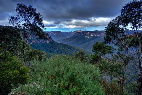 Ultimate Blue Mountains And Wildlife Tour - Accommodation in Brisbane 1