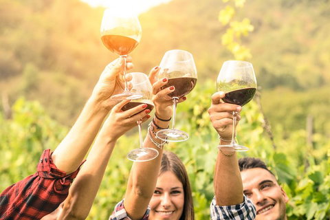 Barossa Valley Cellar Doors Luxury Wine Tour - Accommodation in Brisbane 1