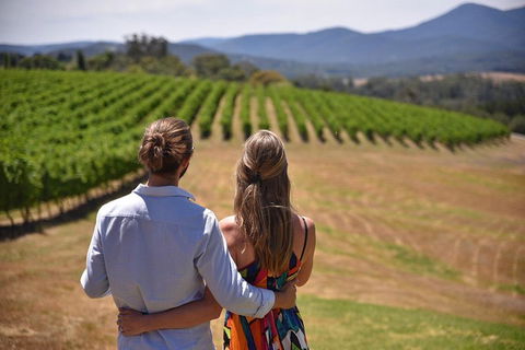 Yarra Valley Wine, Bubbles And Gin Tour! - Accommodation in Brisbane 4