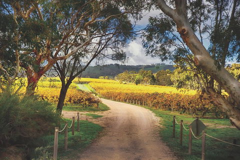 McLaren Vale Winery Small Group Tour With Wine Tasting And Lunch - Accommodation in Brisbane 1