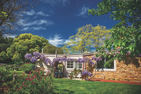 McLaren Vale Winery Small Group Tour With Wine Tasting And Lunch - Accommodation in Brisbane 2