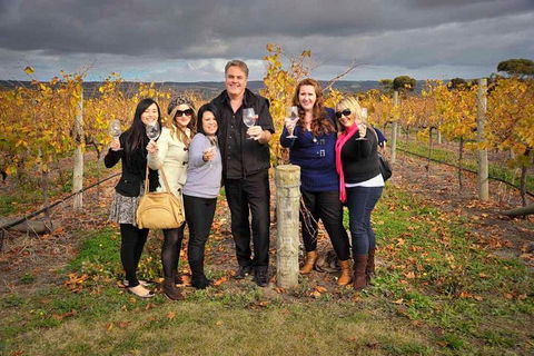 McLaren Vale Winery Small Group Tour With Wine Tasting And Lunch - Accommodation in Brisbane 3