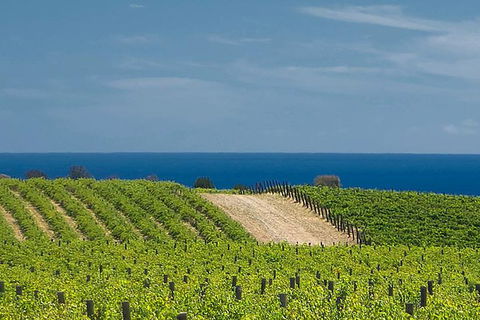 McLaren Vale Winery Small Group Tour With Wine Tasting And Lunch - Accommodation in Brisbane 4