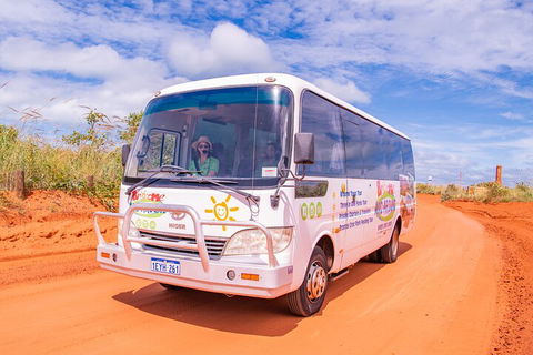 Malcolm Douglas Crocodile Park Tour Including Transportation - Accommodation in Brisbane 3