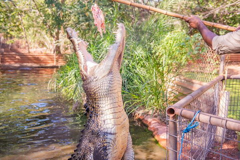 Malcolm Douglas Crocodile Park Tour Including Transportation - Accommodation in Brisbane 5