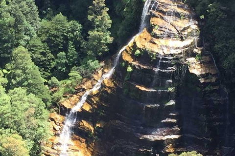 Private Blue Mountains Tour With Kangaroo And Koala Experience - Accommodation in Brisbane 5