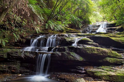 Private All Blue Mountains Day Tour - Accommodation in Brisbane 1