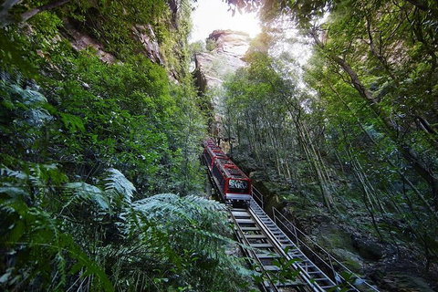 Private All Blue Mountains Day Tour - Accommodation in Brisbane 3