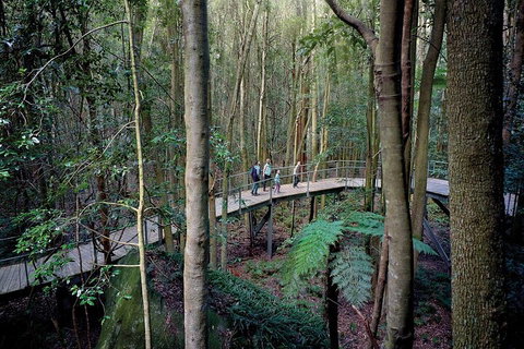 Private All Blue Mountains Day Tour - Accommodation in Brisbane 4