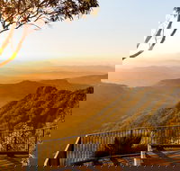 O'Reilly's  Lamington National Park incl. Alpaca Farm  Vineyard - Accommodation in Brisbane