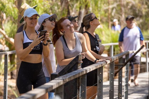 Cabaret Cave Yoga & Mindful Hike - Accommodation in Brisbane 0