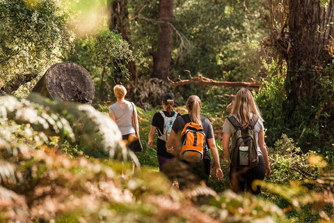 Cabaret Cave Yoga & Mindful Hike - Accommodation in Brisbane 2