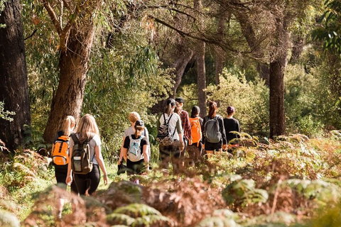 Half-Day Yanchep Ghost House Wilderness Guided Hike Tour - Accommodation in Brisbane 0