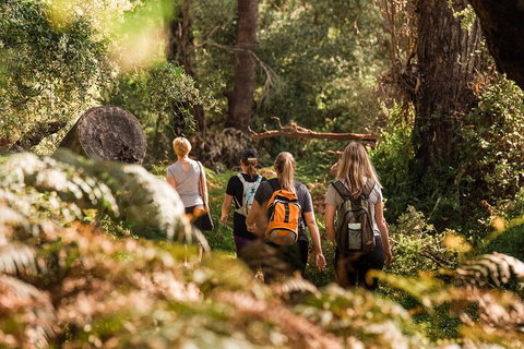 Half-Day Yanchep Ghost House Wilderness Guided Hike Tour - Accommodation in Brisbane 5