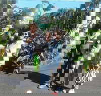 Tropical Fruit World with Wildlife Boat Cruise from Gold Coast - Accommodation in Brisbane