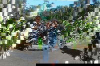 Tropical Fruit World with Wildlife Boat Cruise from Gold Coast, Surfers Paradise