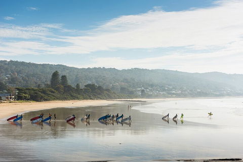 LGBT+ Friendly 12-Hour Great Ocean Road Private Tour - Accommodation in Brisbane 2