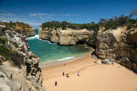 LGBT+ Friendly 12-Hour Great Ocean Road Private Tour - Accommodation in Brisbane 5