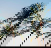 Darwin City Sightseeing Tour - Accommodation in Brisbane