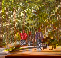 Darwin City Sights and Jumping Crocodile Cruise - Accommodation in Brisbane