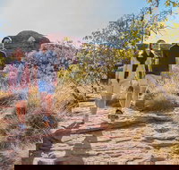 Kings Canyon Day Trip from Ayers Rock Uluru - Accommodation in Brisbane