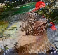 Lamington National Park O'Reilly's  Vineyard Tour - Accommodation in Brisbane