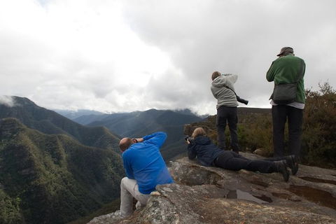 From The Mountains To The Bay - 4 Day Rediscovery Private Tour - Accommodation in Brisbane 4