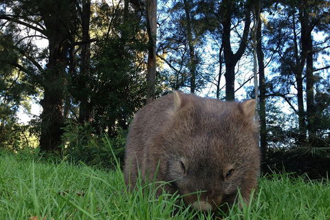 From The Mountains To The Bay - 4 Day Rediscovery Private Tour - Accommodation in Brisbane 5