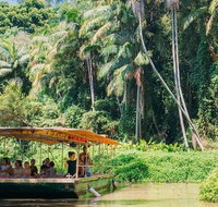 Tropical Fruit World Farm Full Tour - Accommodation in Brisbane