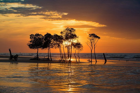 Delightful Darwin Self-Guided Audio Tour - Accommodation in Brisbane 3