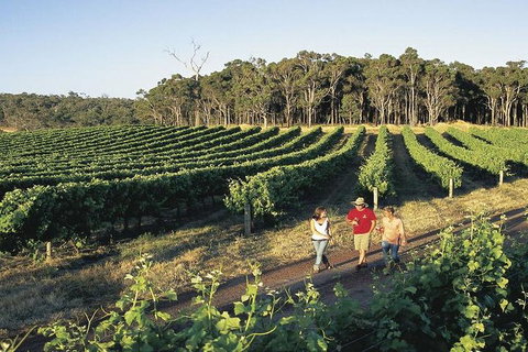 2-Day Margaret River Wine Experience From Perth - Accommodation in Brisbane 3