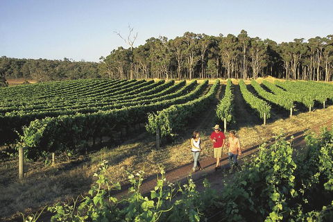 Margaret River, Caves, Wine And Cape Leeuwin Lighthouse Tour From Perth - Accommodation in Brisbane 1