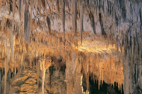 Margaret River, Caves, Wine And Cape Leeuwin Lighthouse Tour From Perth - Accommodation in Brisbane 3