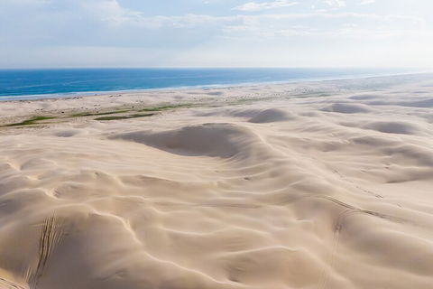 Port Stephens Bush, Beach And Sand Dune 4WD Passenger Tour - Accommodation in Brisbane 2
