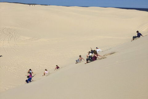 Port Stephens Bush, Beach And Sand Dune 4WD Passenger Tour - Accommodation in Brisbane 4
