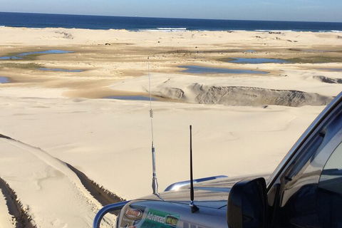 Port Stephens Bush, Beach And Sand Dune 4WD Passenger Tour - Accommodation in Brisbane 5