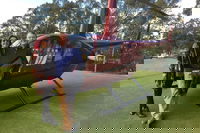 Helicopter Tour of Hunter Valley in New South Wales with Lunch, Hunterview