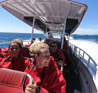 Adventure Rottnest Tour with Ferry  Adventure Cruise from Perth or Fremantle - Accommodation in Brisbane