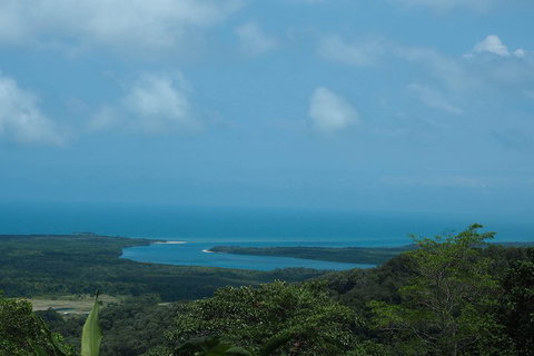 Cape Tribulation, Daintree Rainforest And Wildlife Tour - Accommodation in Brisbane 1