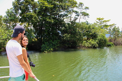 Cape Tribulation, Daintree Rainforest And Wildlife Tour - Accommodation in Brisbane 2