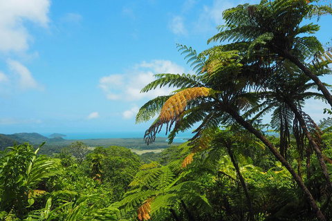 Cape Tribulation, Daintree Rainforest And Wildlife Tour - Accommodation in Brisbane 3