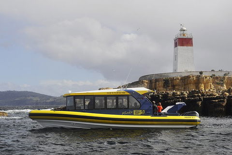 Hobart Sightseeing Cruise Including Iron Pot Lighthouse - Accommodation in Brisbane 0