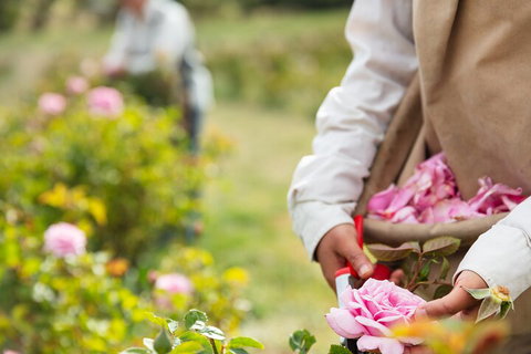 3 Days Adelaide Hills Wellness Escape - Accommodation in Brisbane 3