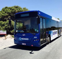 Rottnest Bayseeker Bus Tour from Hillarys Boat Harbour - Accommodation in Brisbane