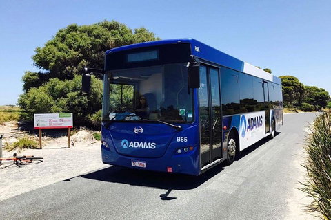Rottnest Bayseeker Bus Tour From Hillarys Boat Harbour - Accommodation in Brisbane 0