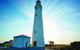 Rottnest Bayseeker Bus Tour From Hillarys Boat Harbour - thumb 2