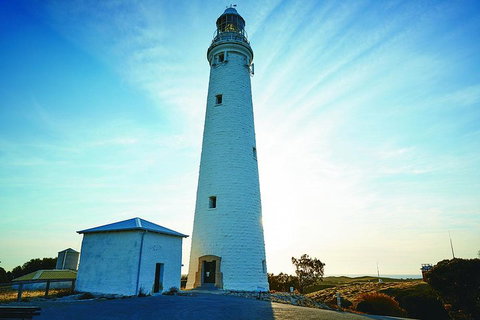 Rottnest Bayseeker Bus Tour From Hillarys Boat Harbour - Accommodation in Brisbane 2